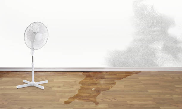 Best Basement Water Damage Restoration in Tahlequah, OK